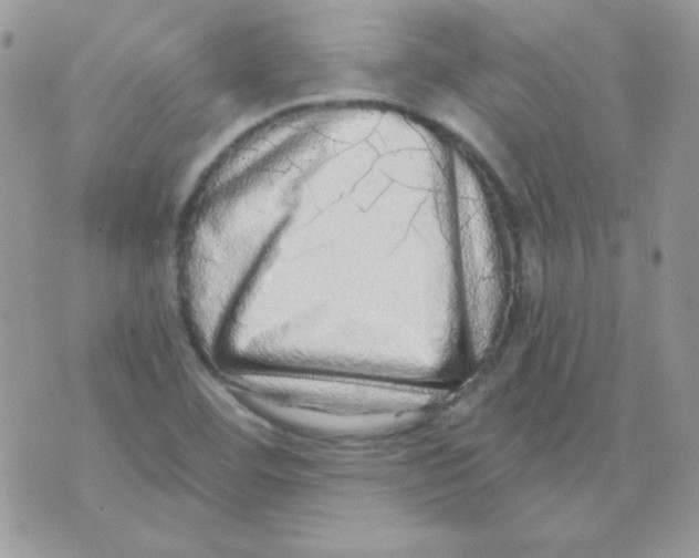 X0000071331460200607211955