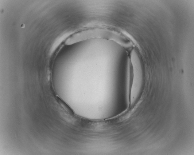 X0000071331461200607211955