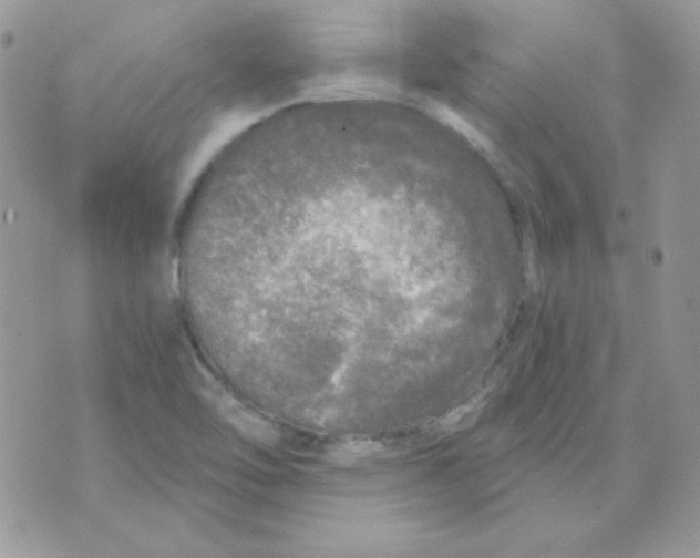 X0000071331462200607211955