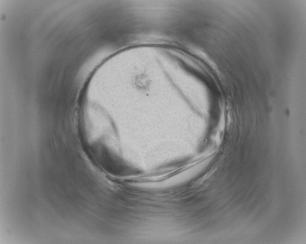 X0000071331463200607211955