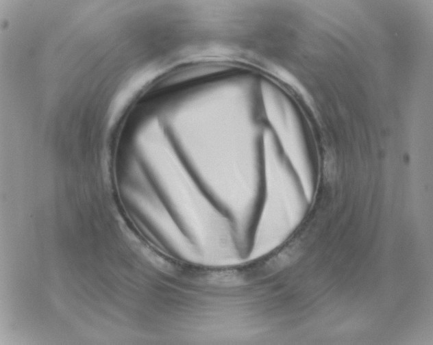 X0000071331464200607211955