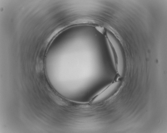 X0000071331465200607211955