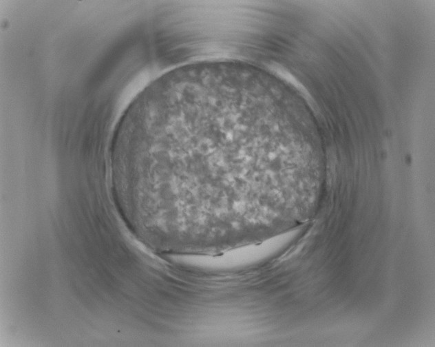 X0000071331467200607211955