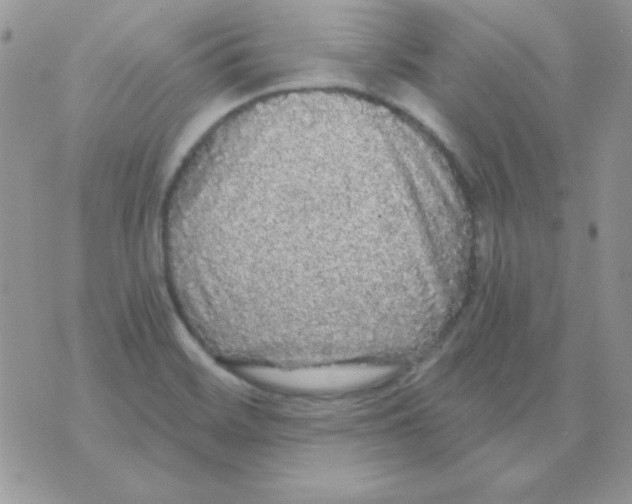 X0000071331468200607211955