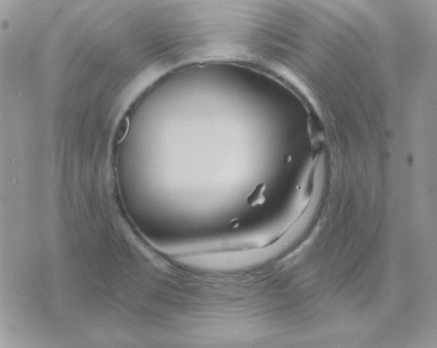 X0000071331469200607211955