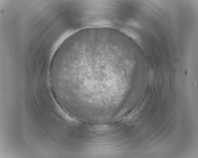 X0000071331470200607211955