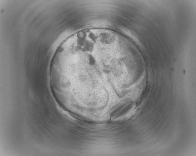 X0000071331471200607211955