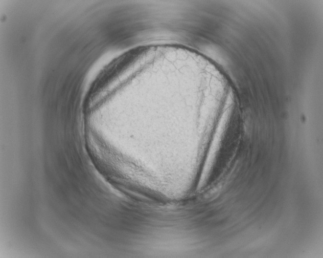 X0000071331472200607211955