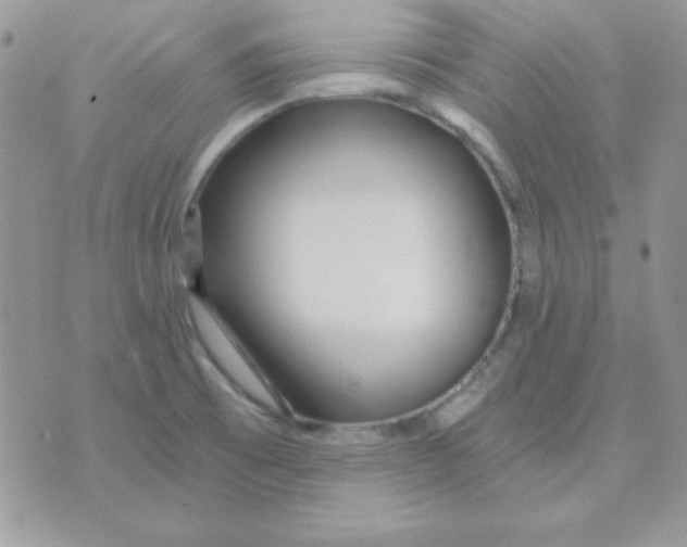 X0000071331473200607211955