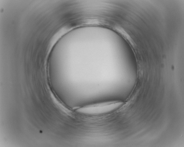 X0000071331475200607211955