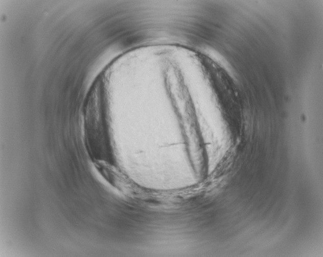 X0000071331476200607211955