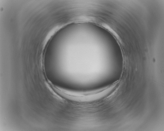 X0000071331477200607211955