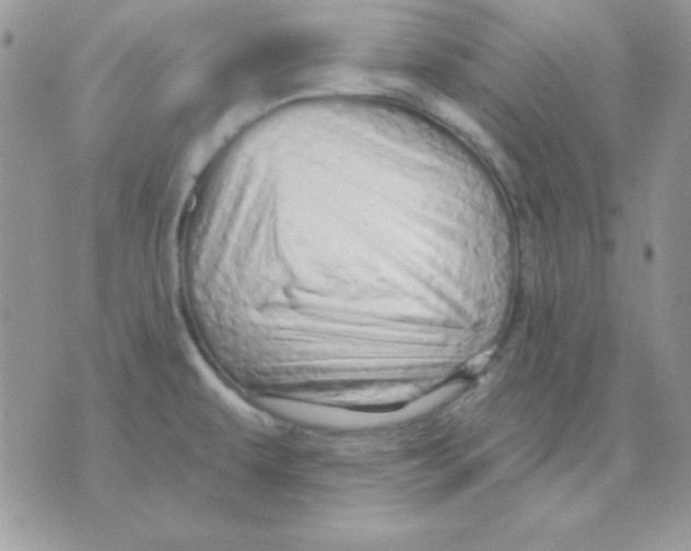 X0000071331479200607211955