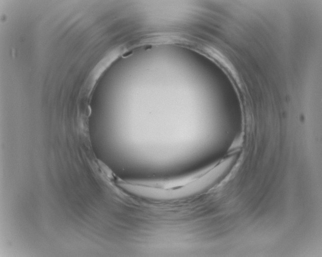 X0000071331481200607211954