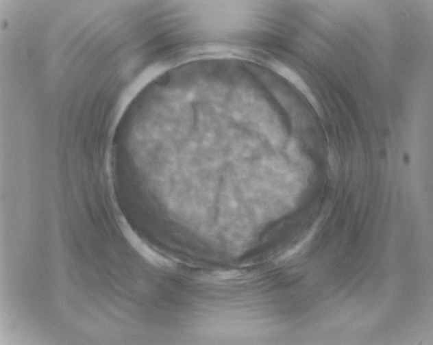 X0000071331482200607211954