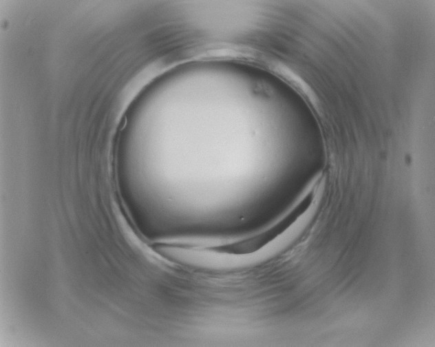 X0000071331483200607211954