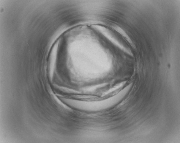 X0000071331484200607211954