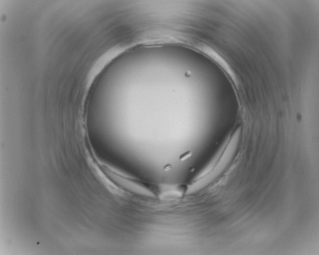 X0000071331485200607211954