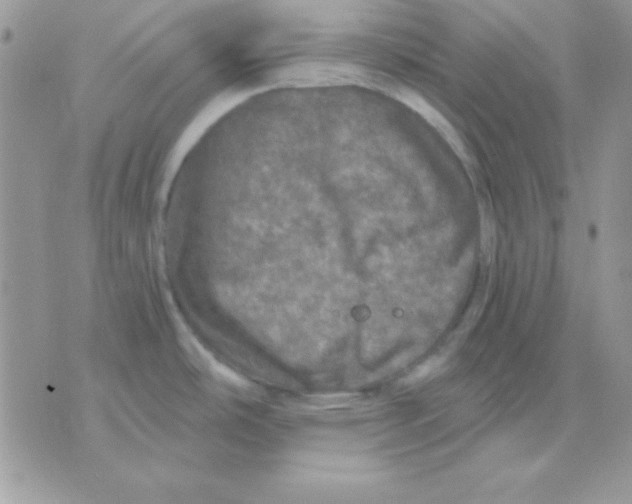 X0000071331486200607211954