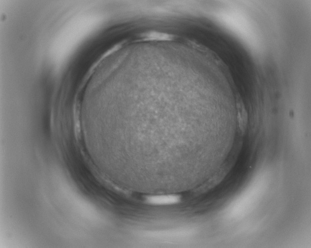 X0000071331487200607211954