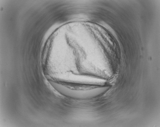 X0000071331488200607211954