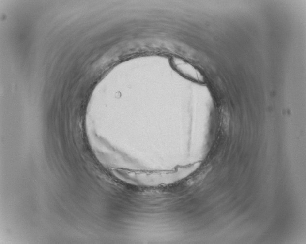 X0000071331489200607211954