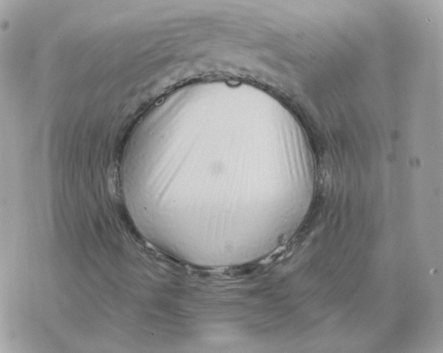 X0000071331490200607211954