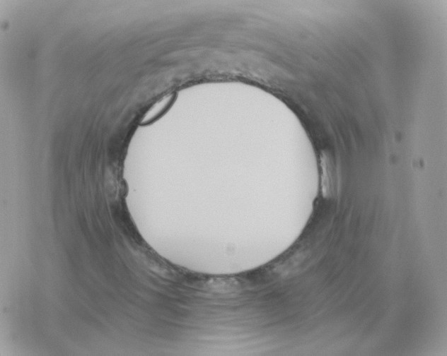 X0000071331491200607211954