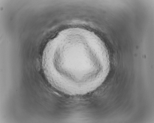 X0000071331493200607211954