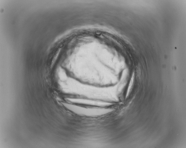 X0000071331494200607211954