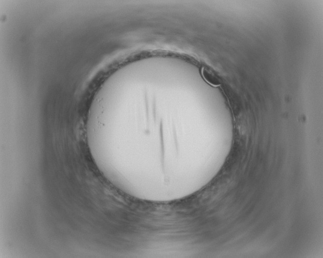 X0000071331495200607211954