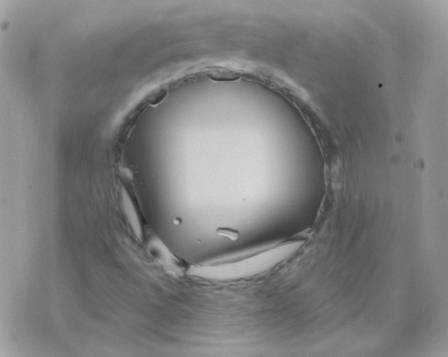 X0000071331496200607211954