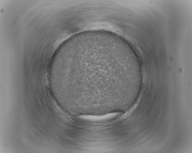 X0000071331497200607211954