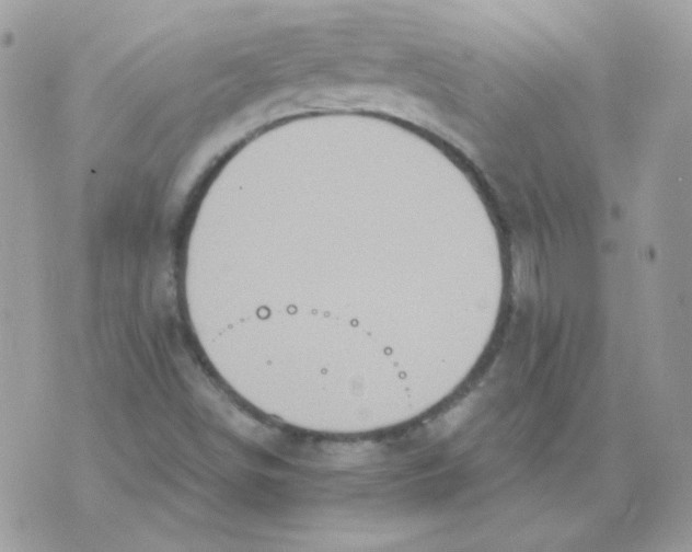 X0000071331498200607211954