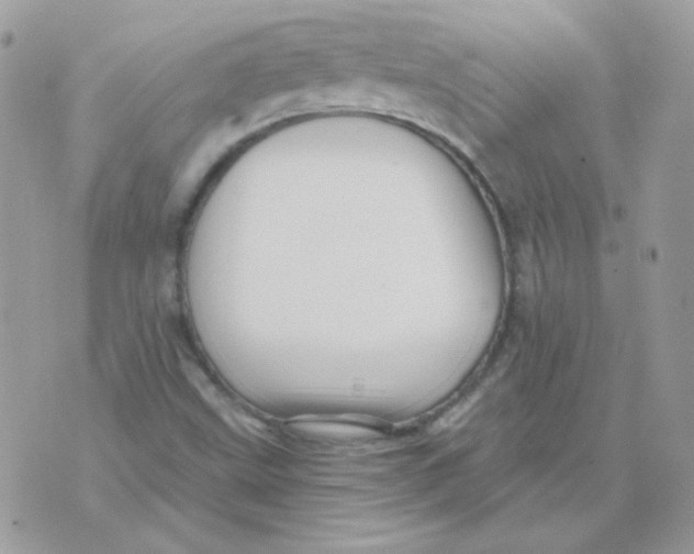 X0000071331499200607211954