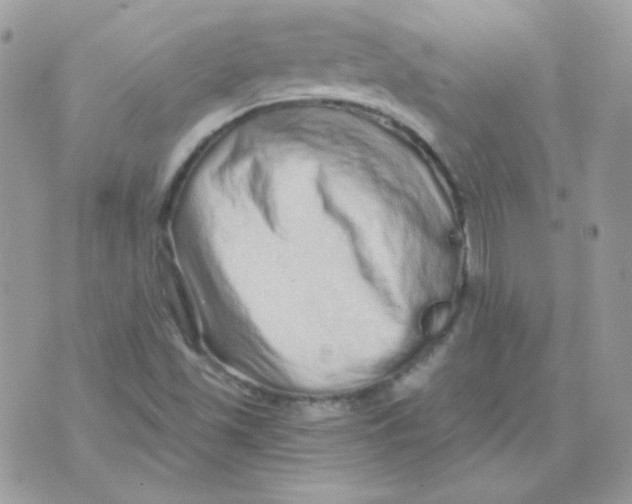 X0000071331501200607211954