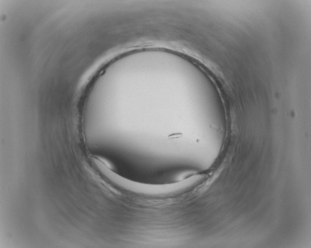 X0000071331502200607211954