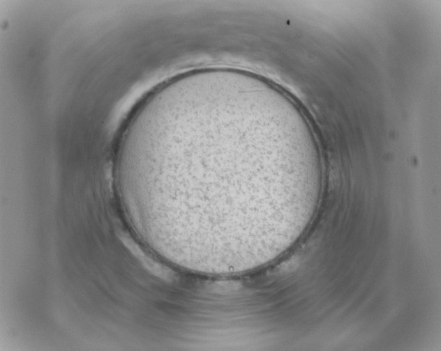 X0000071331503200607211954