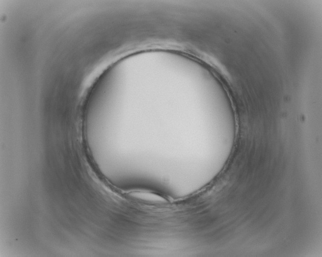 X0000071331504200607211954