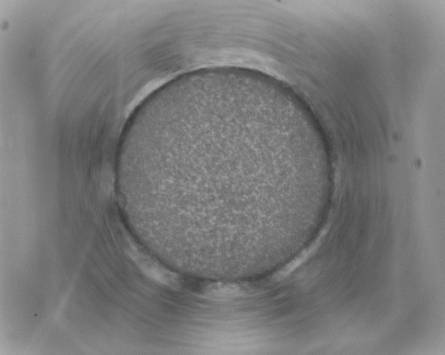 X0000071331505200607211954