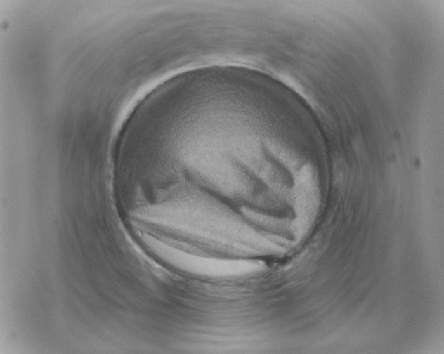 X0000071331508200607211954