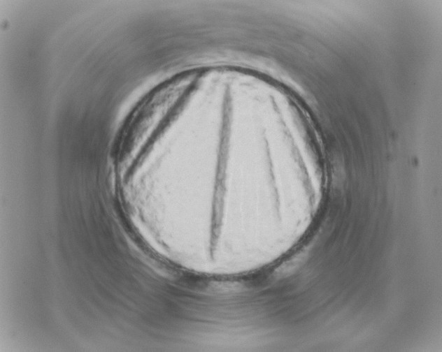 X0000071331509200607211954