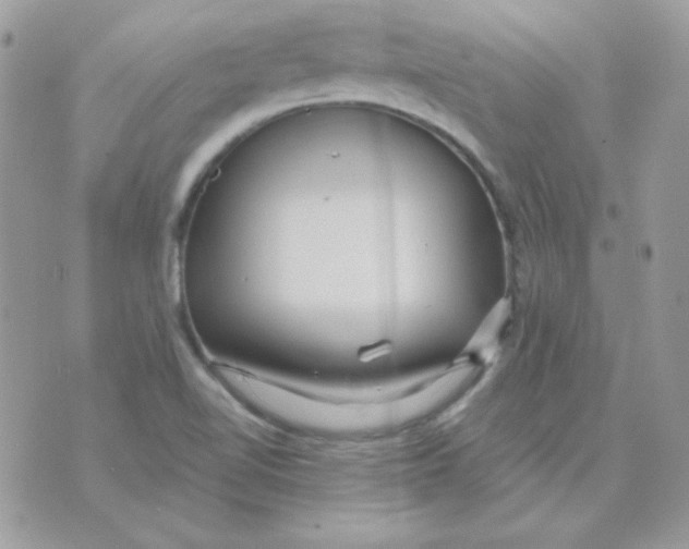 X0000071331510200607211954