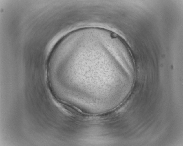 X0000071331511200607211954