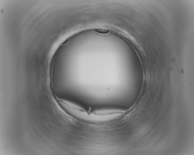 X0000071331512200607211954