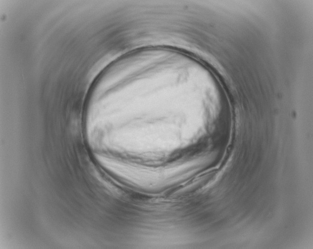 X0000071331513200607211954