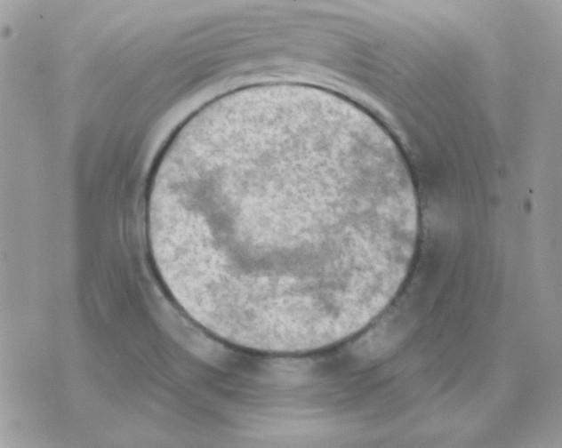 X0000071331514200607211954