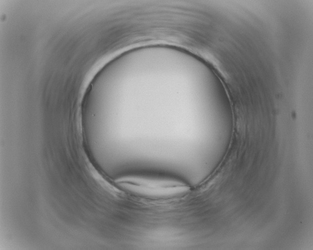 X0000071331516200607211954