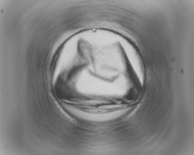 X0000071331517200607211954