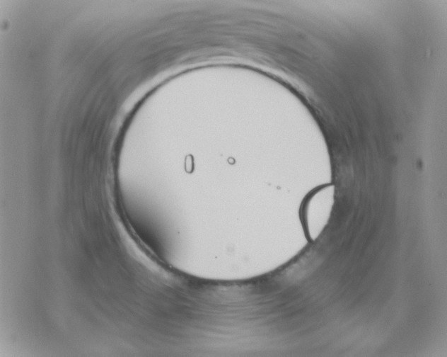 X0000071331518200607211954